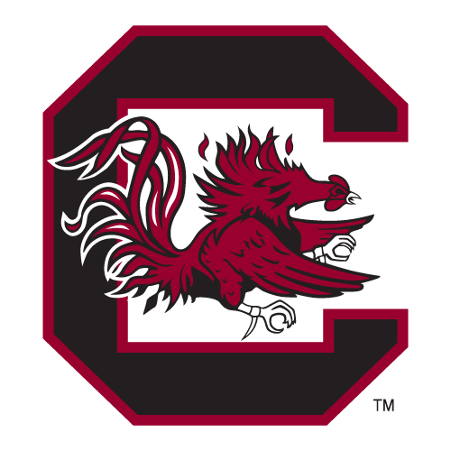 South Carolina Gamecocks